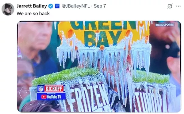 Nfl fans taking things a bit too seriously - #17 