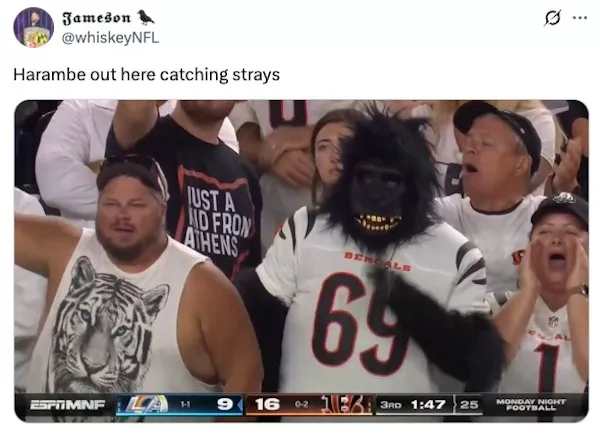 Ces fans de nfl qui en font un peu trop - #20 