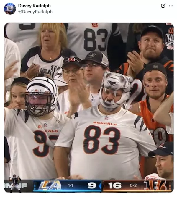 Nfl fans taking things a bit too seriously - #4 