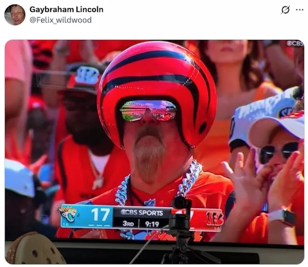 Nfl fans taking things a bit too seriously - #6 