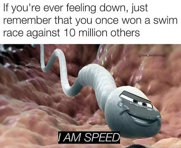 The perfect recipe for memes and laughs - #12 