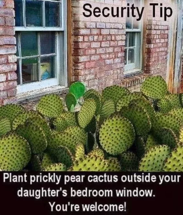 The perfect recipe for memes and laughs - #5 