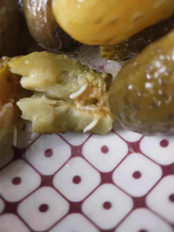 The ultimate collection of unfortunate moments - #15 A pickle infested with maggots while eating it