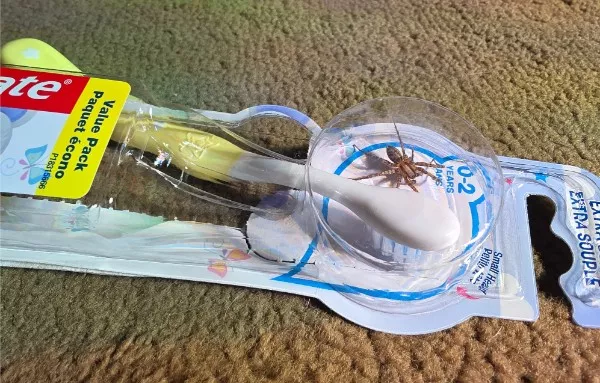 The ultimate collection of unfortunate moments - #16 No, no, no, this cannot be happening