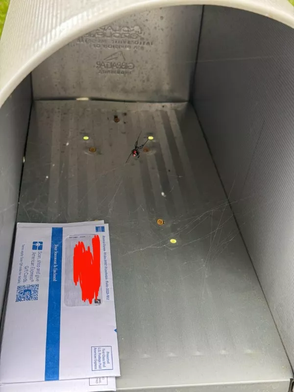 The ultimate collection of unfortunate moments - #18 You have got a surprise message in the mail