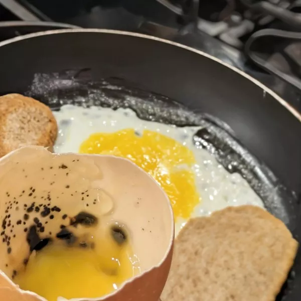 The ultimate collection of unfortunate moments - #19 A bad egg ruined my last two slices of bread