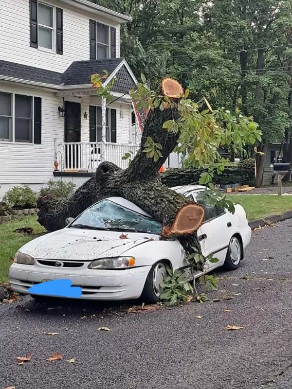 The ultimate collection of unfortunate moments - #6 You can't park there, you're having a bad day