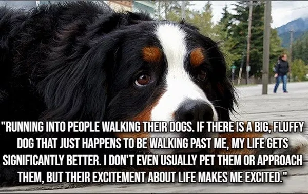 The little things that make life beautiful - #3 