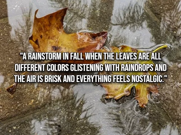 The little things that make life beautiful - #8 