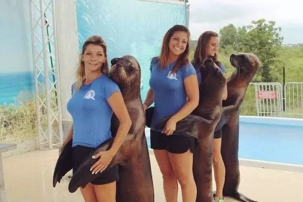 Hilarious wild and domestic animals - #35 Hilarious wild and domestic animals - #35