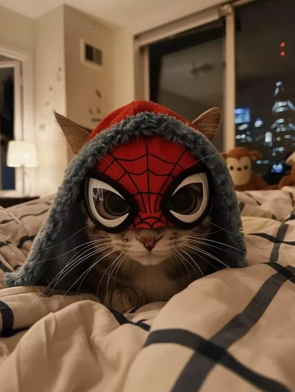Hilarious wild and domestic animals - #41 Hilarious wild and domestic animals - #41