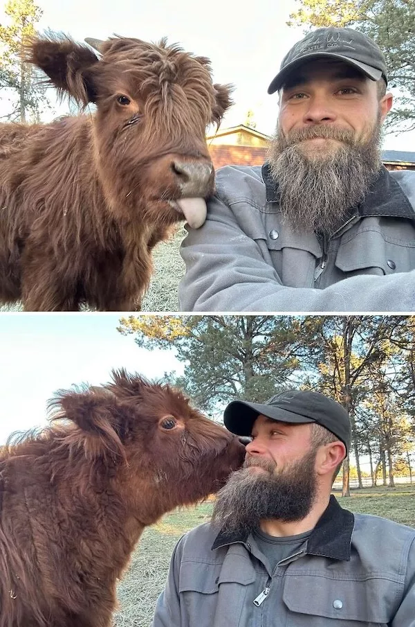 Hilarious wild and domestic animals - #5 