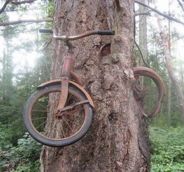 Picdump 1101 - #9 