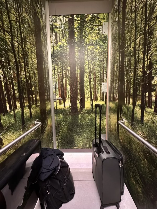 An interesting escape from the mundane - #14 A forest mural inside a bathroom stall