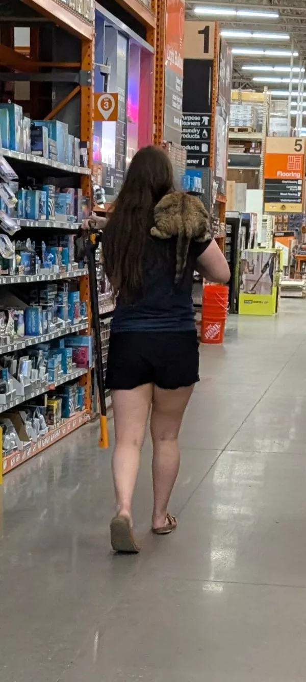 An interesting escape from the mundane - #4 A woman and her cat buying an axe at Home Depot