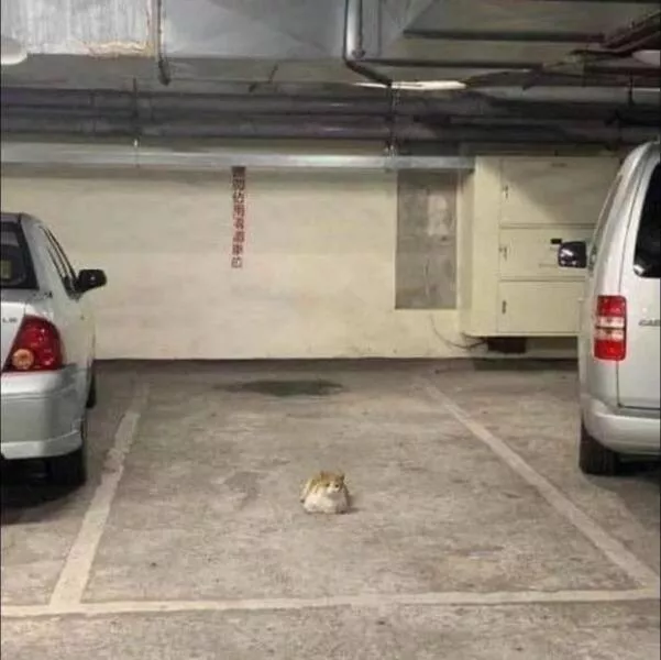 Picdump 1102 - #43 Picdump 1102 - #43