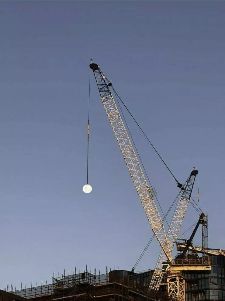 Picdump 1102 - #51 Picdump 1102 - #51