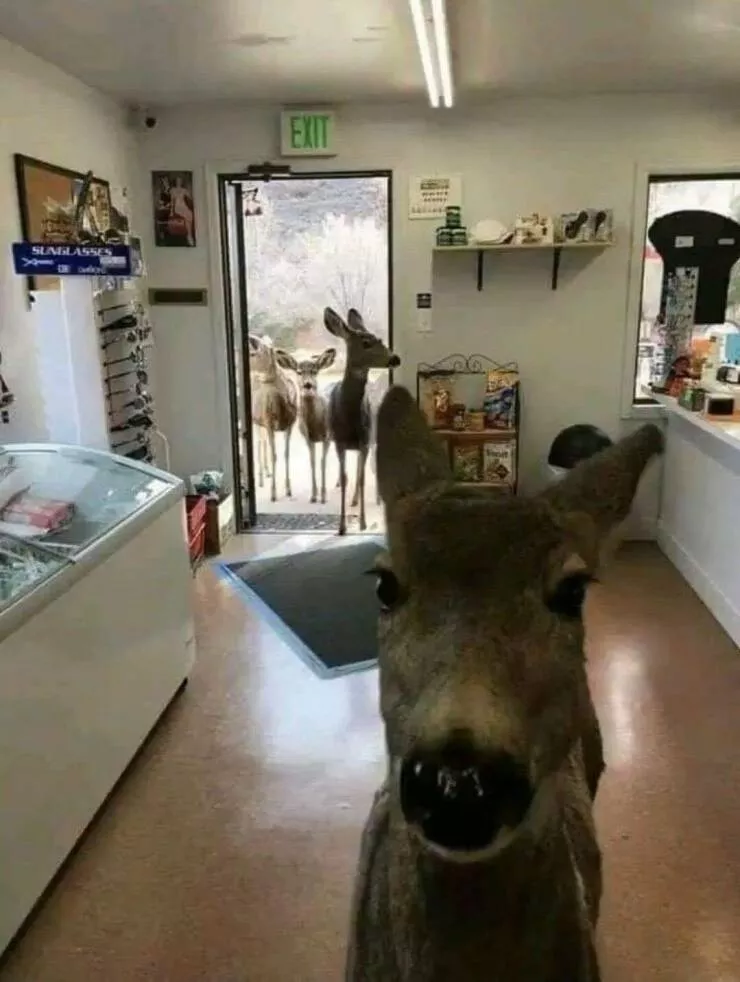 Picdump 1102 - #60 Picdump 1102 - #60