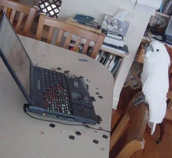 Picdump 1103 - #13 