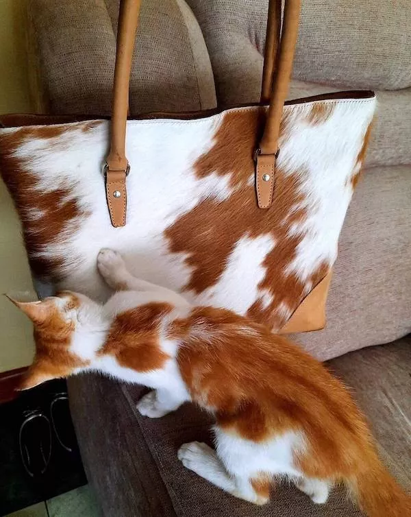 Picdump 1104 - #14 