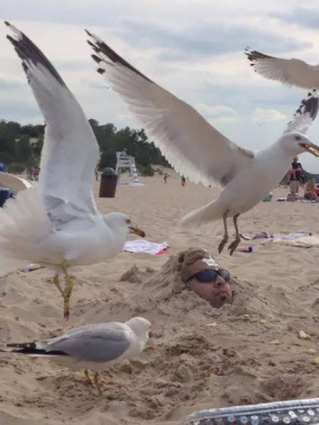 Who would not love the summer after seeing these superb pics - #7 