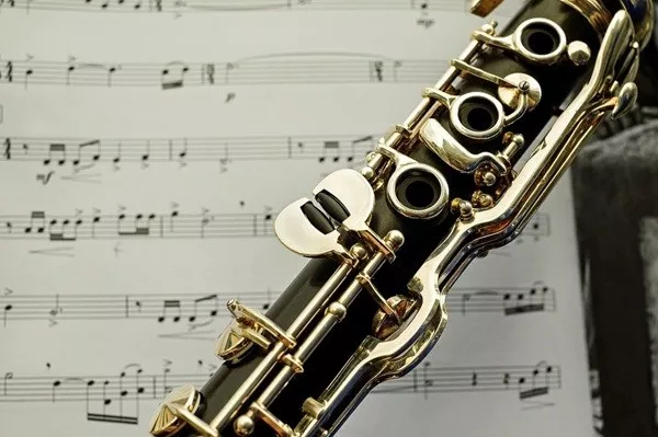 50 faits insolites pour booster votre culture g