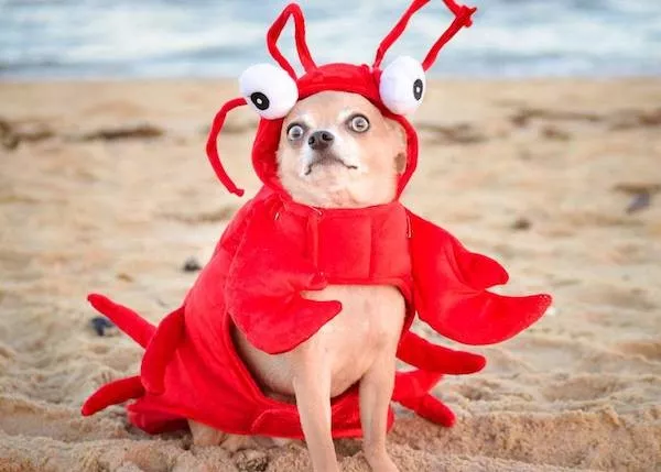 Picdump 1105 - #30 