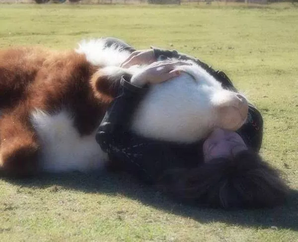 Picdump 1105 - #7 