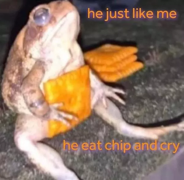 Hilarious memes for a less depressing day - #19 
