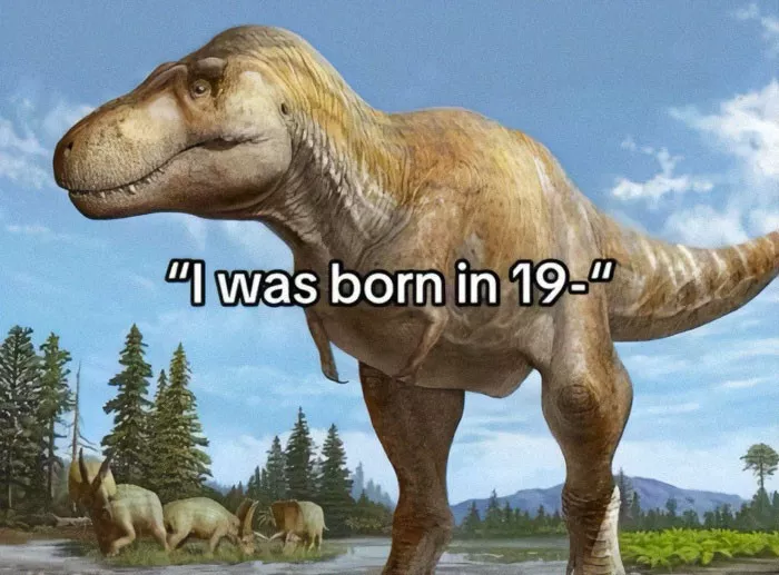 Hilarious memes for a less depressing day