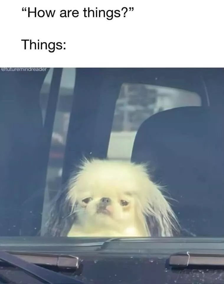 Hilarious memes for a less depressing day - #29 
