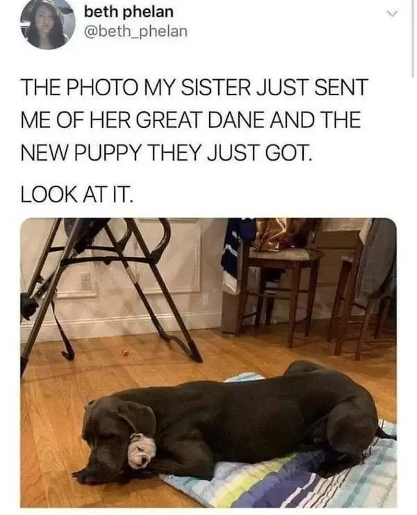 A daily dose of wholesome goodness and joy - #10 