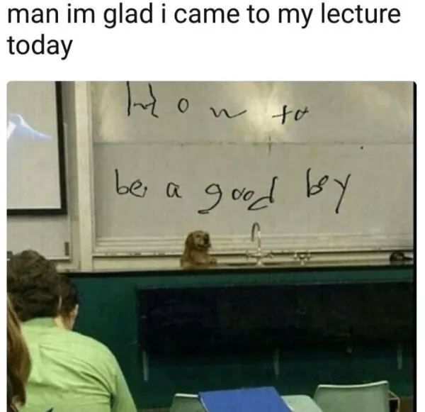 A daily dose of wholesome goodness and joy - #15 