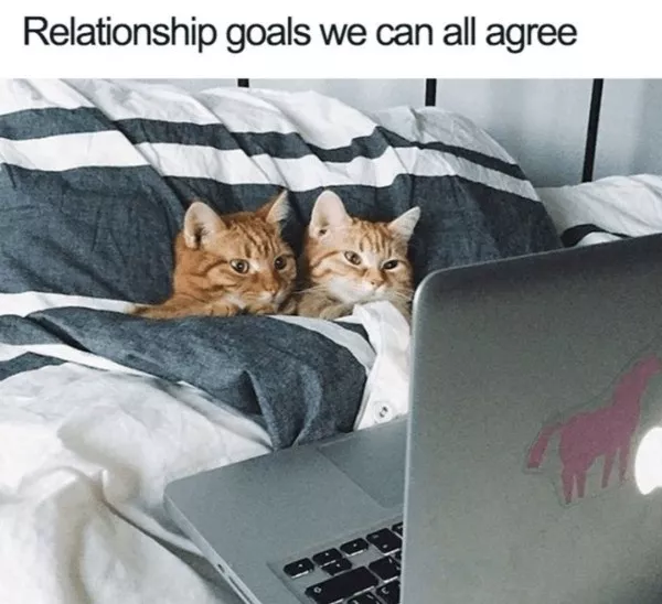 A daily dose of wholesome goodness and joy - #16 