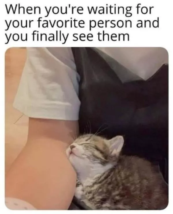 A daily dose of wholesome goodness and joy - #22 