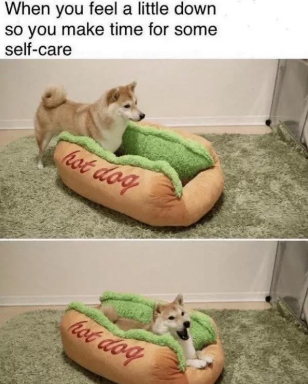 A daily dose of wholesome goodness and joy - #23 
