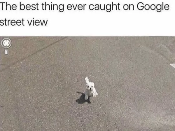 A daily dose of wholesome goodness and joy - #25 