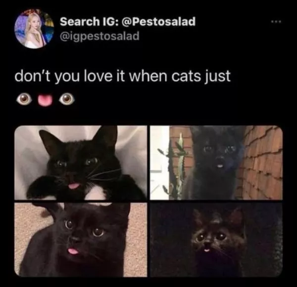 A daily dose of wholesome goodness and joy - #26 