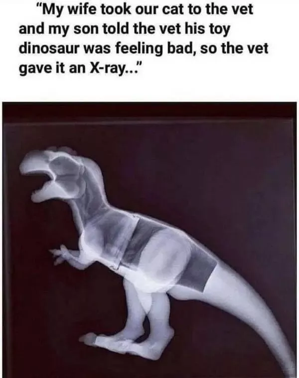 A daily dose of wholesome goodness and joy - #27 