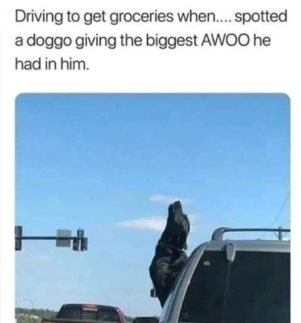 A daily dose of wholesome goodness and joy - #28 