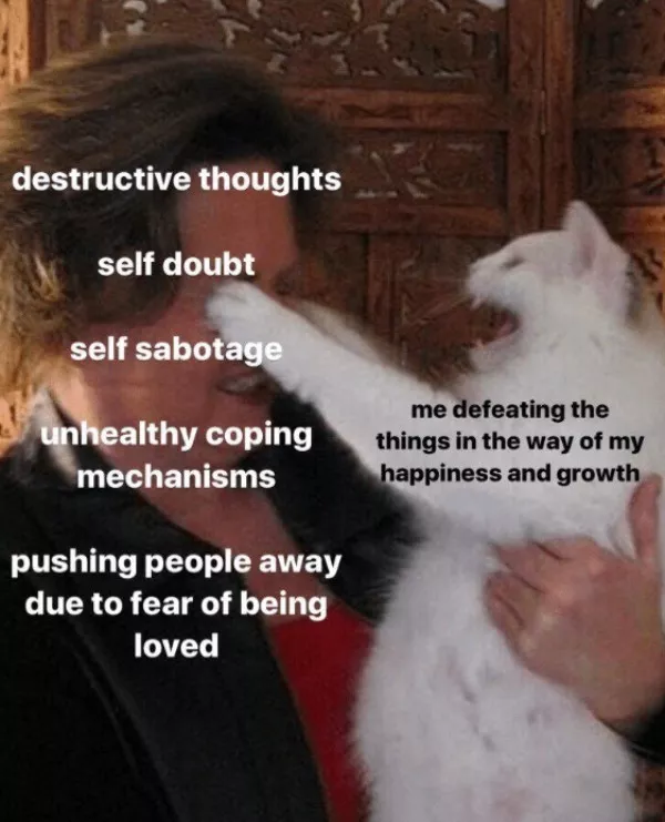 A daily dose of wholesome goodness and joy