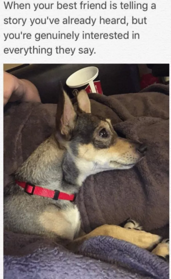 A daily dose of wholesome goodness and joy - #4 
