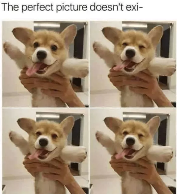 A daily dose of wholesome goodness and joy - #7 