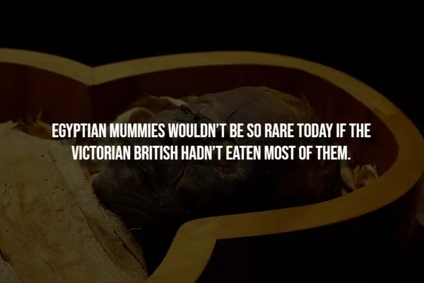 25 chilling facts to send shivers down your spine - #5 