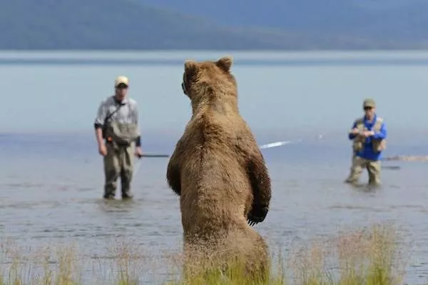 Picdump 1107 - #33 