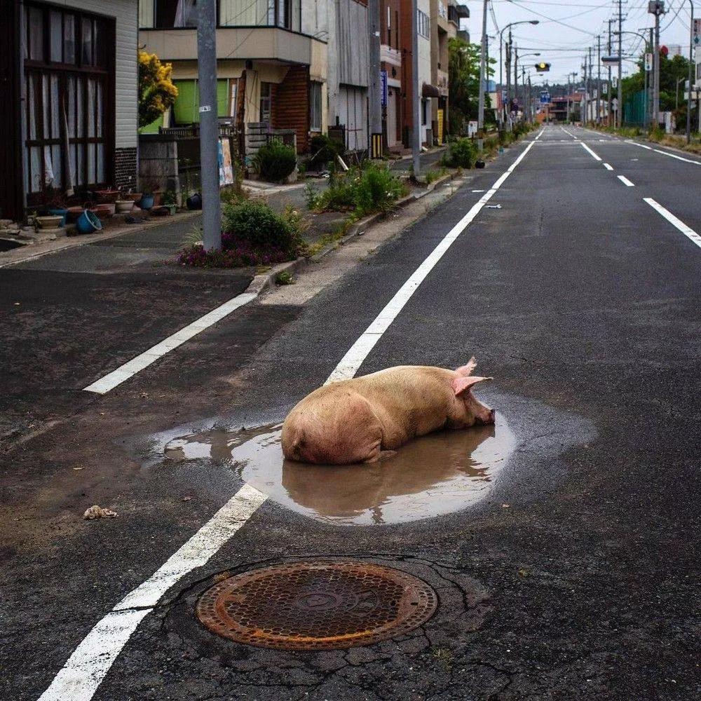 Picdump 1108 - #13 