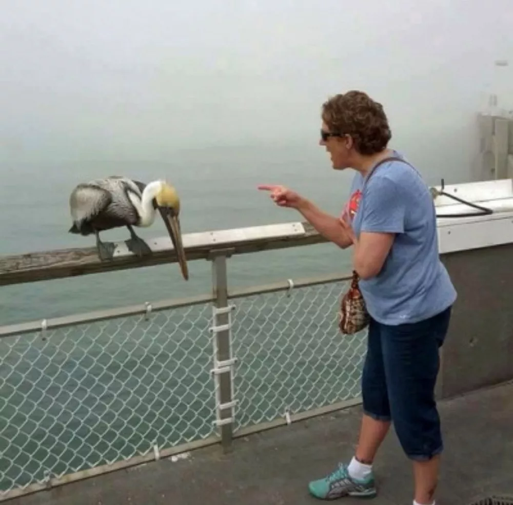 Picdump 1108 - #26 