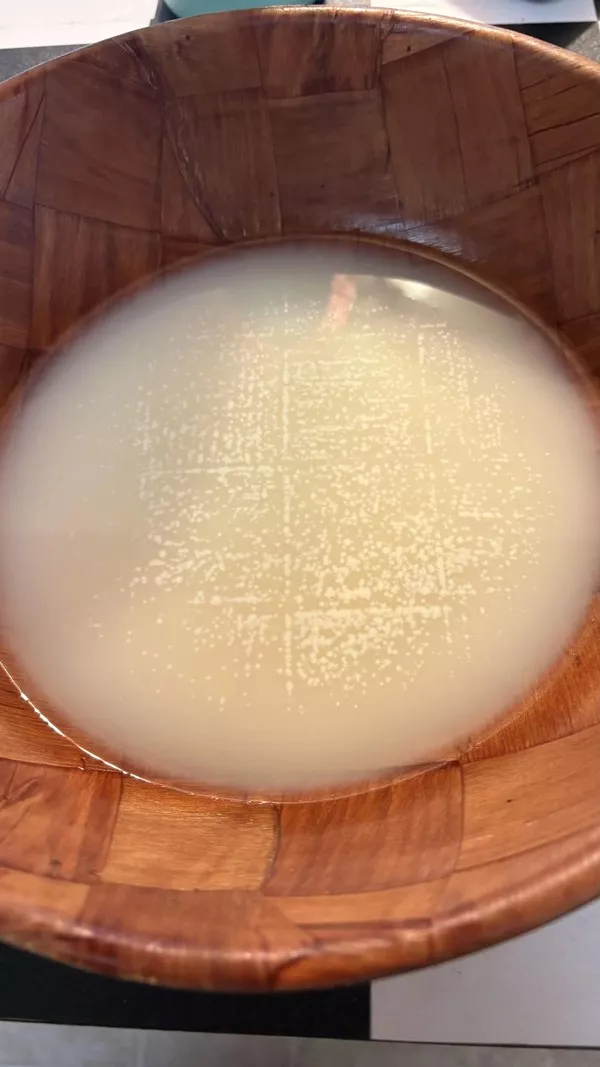 This is guaranteed to grab your attention - #3 Yeast copied the pattern of a square bowl