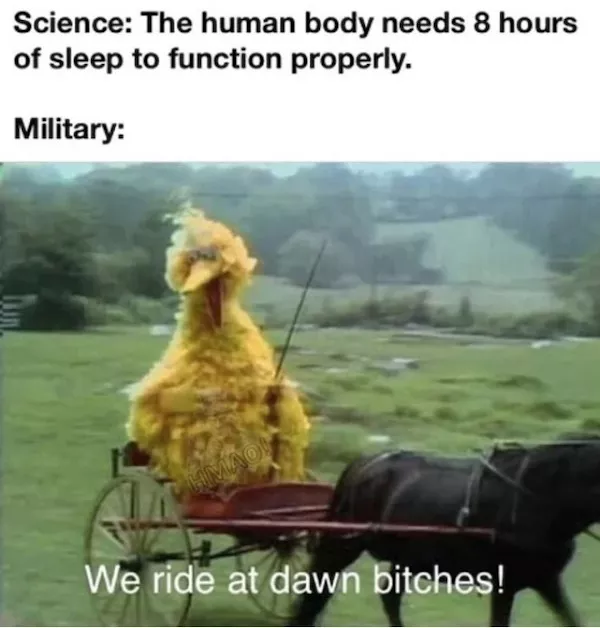 Lhumour absurde du monde militaire - #16 