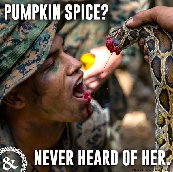 The absurd humor of military life - #38 The absurd humor of military life - #38
